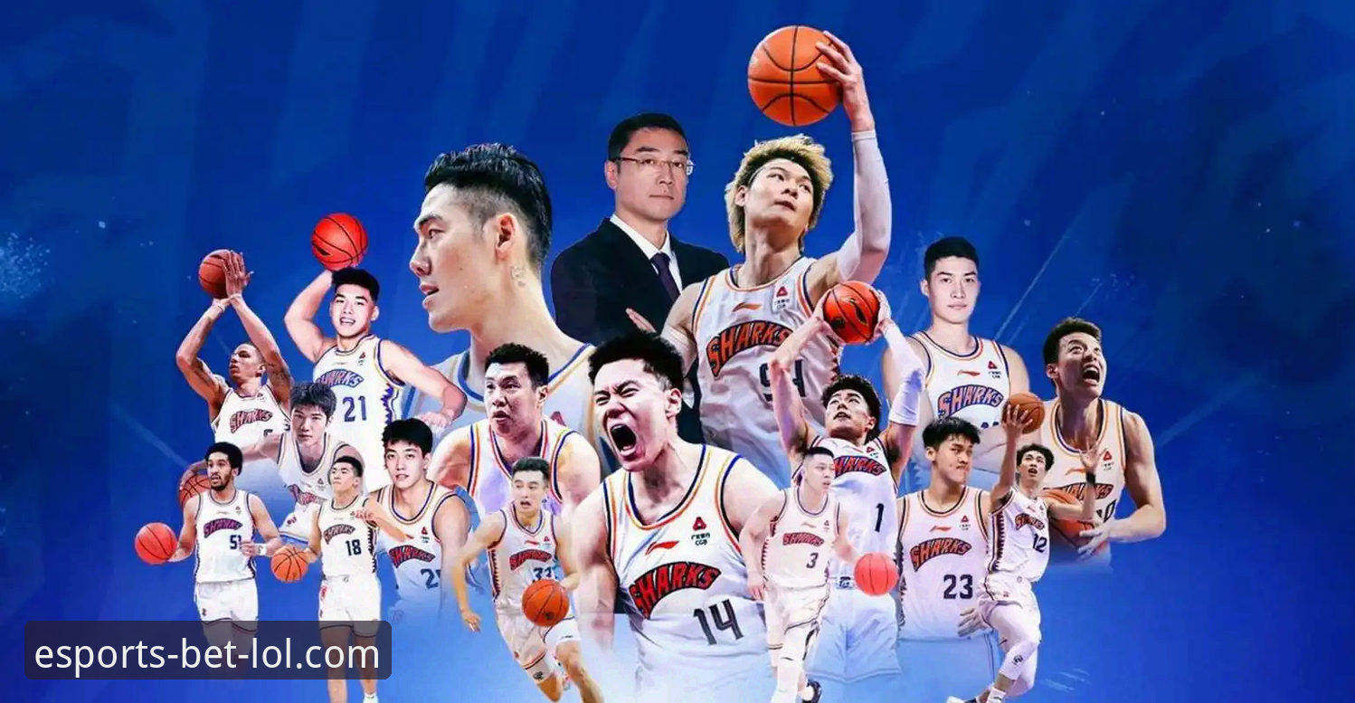 上海男篮豪取12连胜登顶联赛：一次流畅观赛体验背后的平台选择